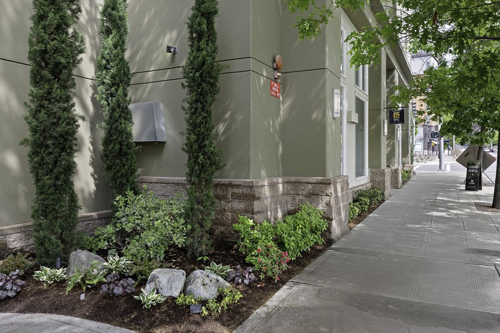 Sidewalk View of Stunning Landscaping  with tall Columns of Greenery and Delicate Flowers at Excalibur Apartment Homes, WA 98004
