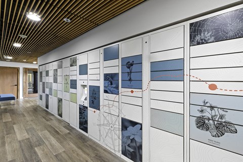Package Receiving Lockers with Colorful Artwork at Excalibur Apartment Homes, Bellevue