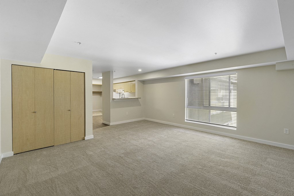 Spacious Living Area with a Coat Closet and a Large Windows to View Outside Area at Excalibur Apartment Homes, Washington