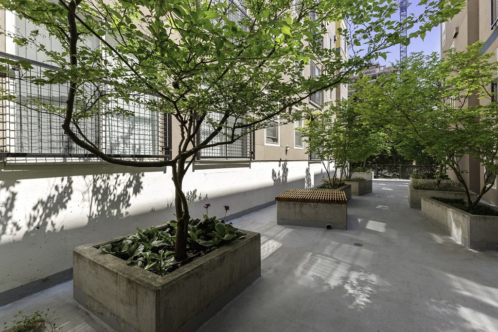 Resident Courtyard with Trees and Seating at Sir Gallahad Apartment Homes, Bellevue