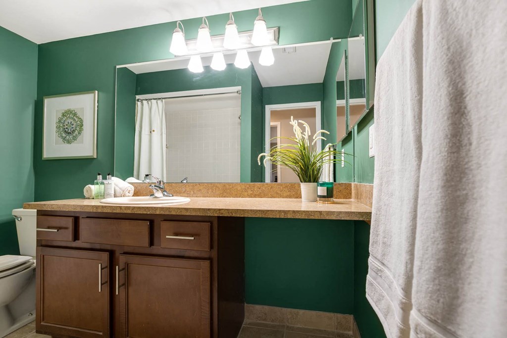 Vanity Lights at Amberly Apartments, Michigan, 48322