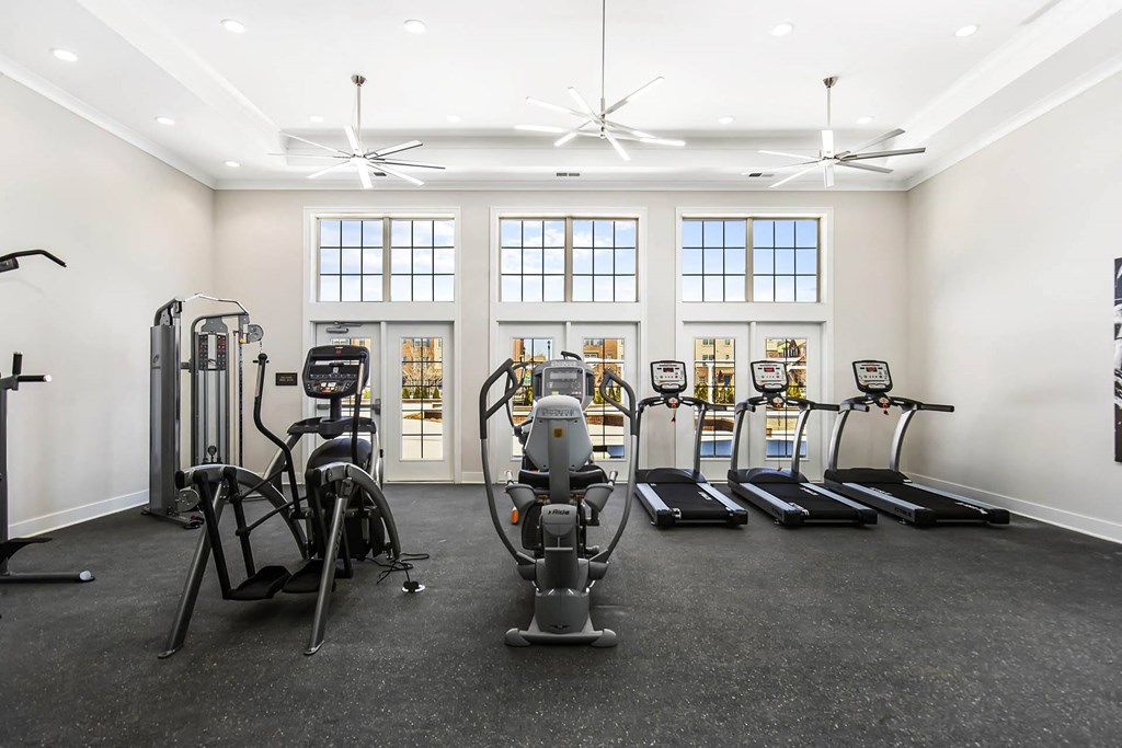 Peloton Bikes at Park West, Michigan