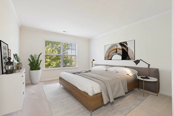 1515 Goldrush Lane 1-4 Beds Apartment for Rent - Photo Gallery 6