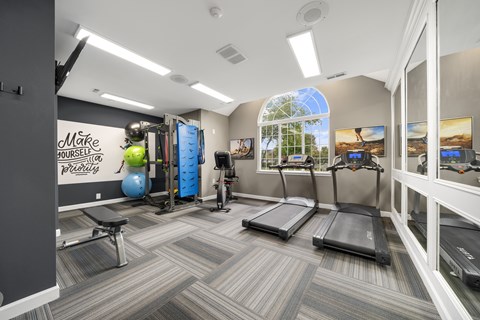 A gym with treadmills, exercise balls, and a wall mural.