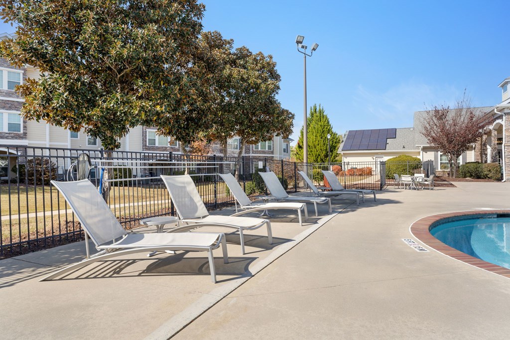 A pool area with sun loungers and a tree.