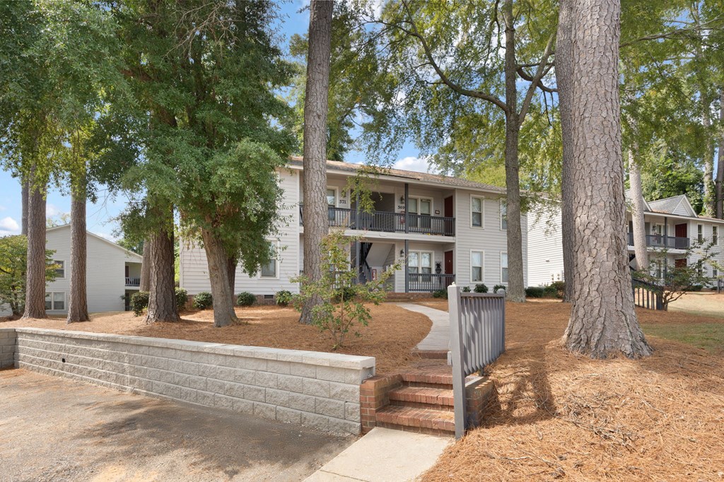 A tree in front of a building.