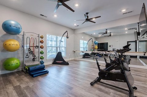 A spacious home gym with a variety of exercise equipment and fitness balls.