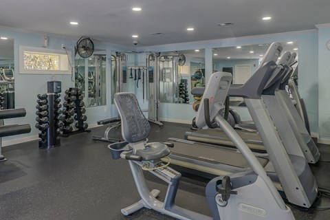A gym with a treadmill, weights, and mirrors.