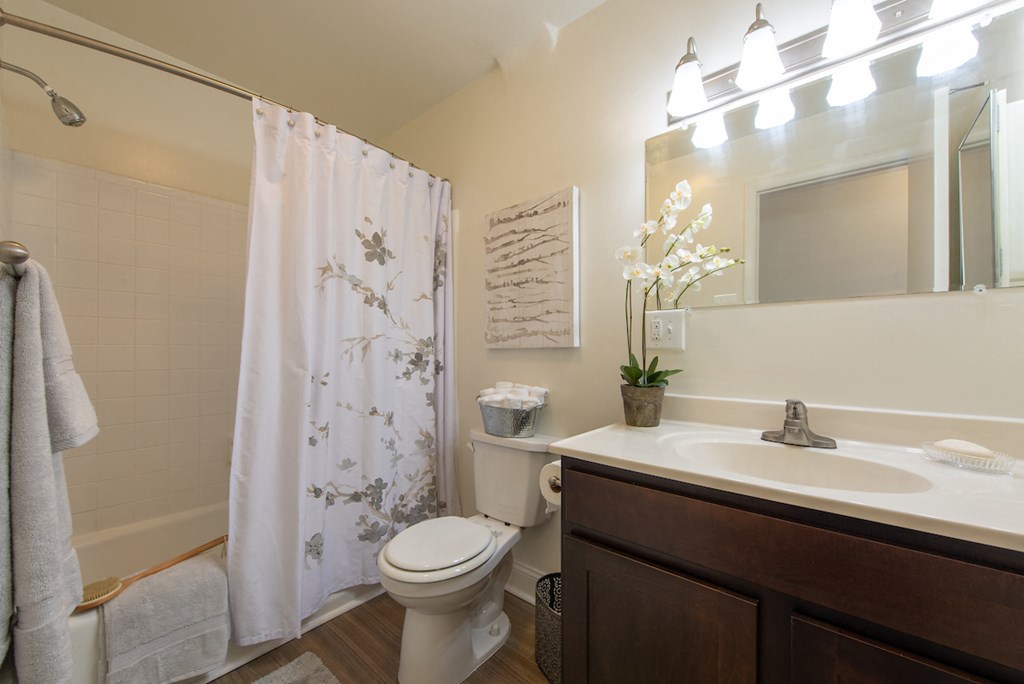 Bright Bathroom at Middletown Valley, Middletown, MD, 21769