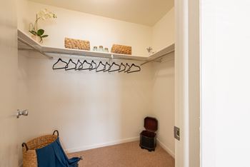 Large Walk-In Closet at Middletown Valley