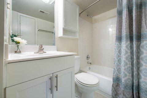 Bright Bathroom  at Tuscarora Creek  in Leesburg, 20175