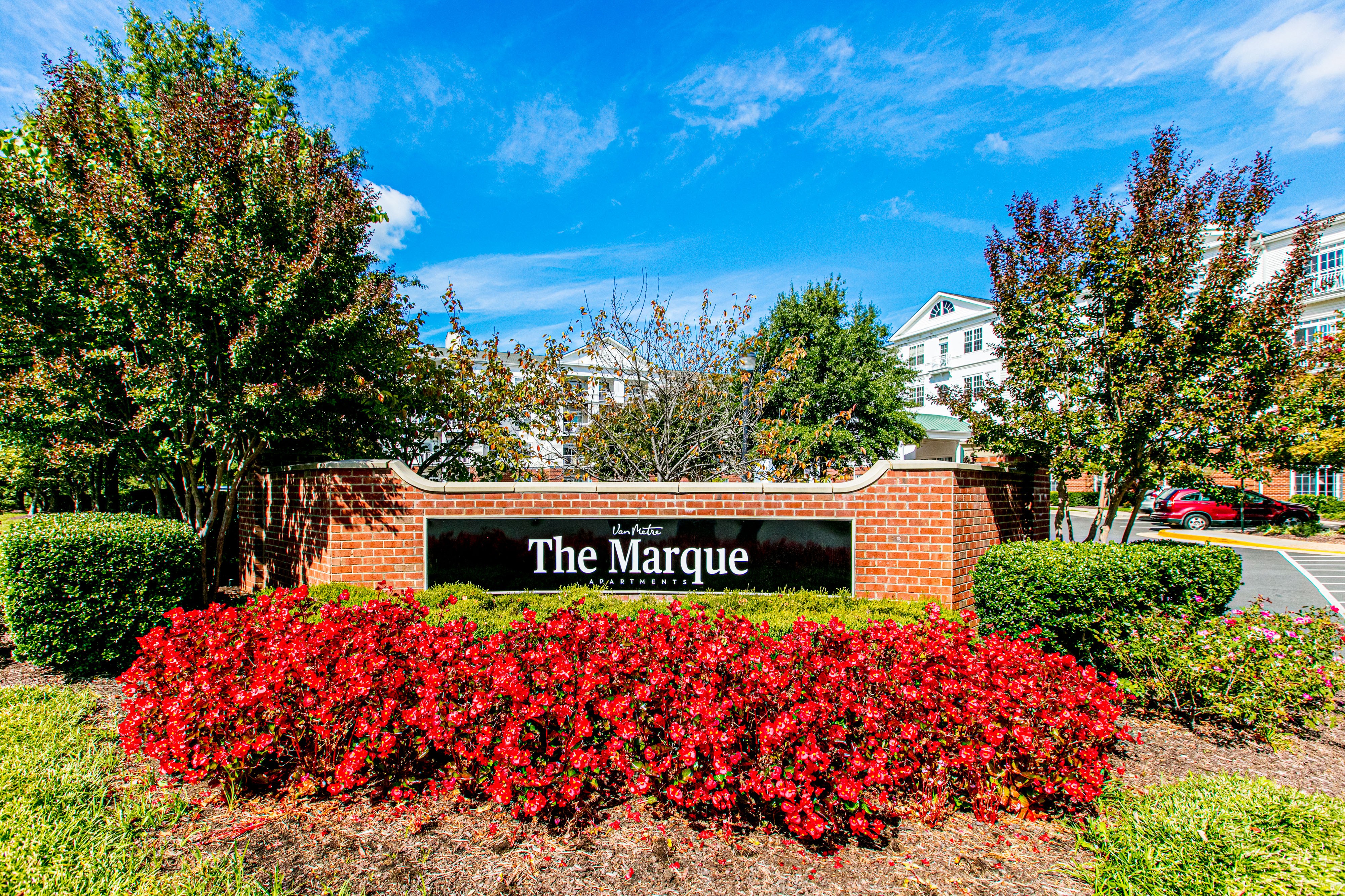 Welcome to The Marque!