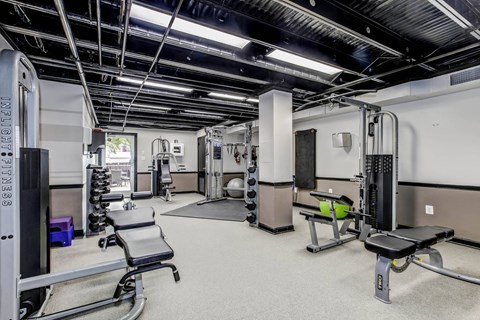 A gym with a variety of equipment including a squat rack, bench, and weights.
