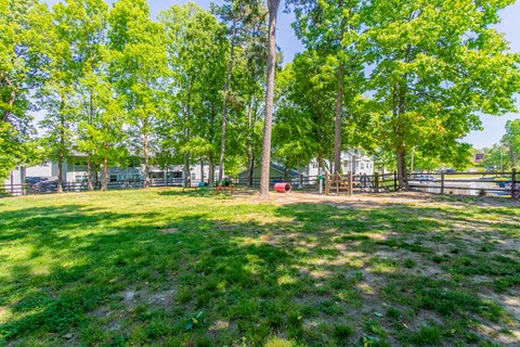 A grassy area with trees and a fence in the background at West Pointe Apartments, Burlington, North Carolina