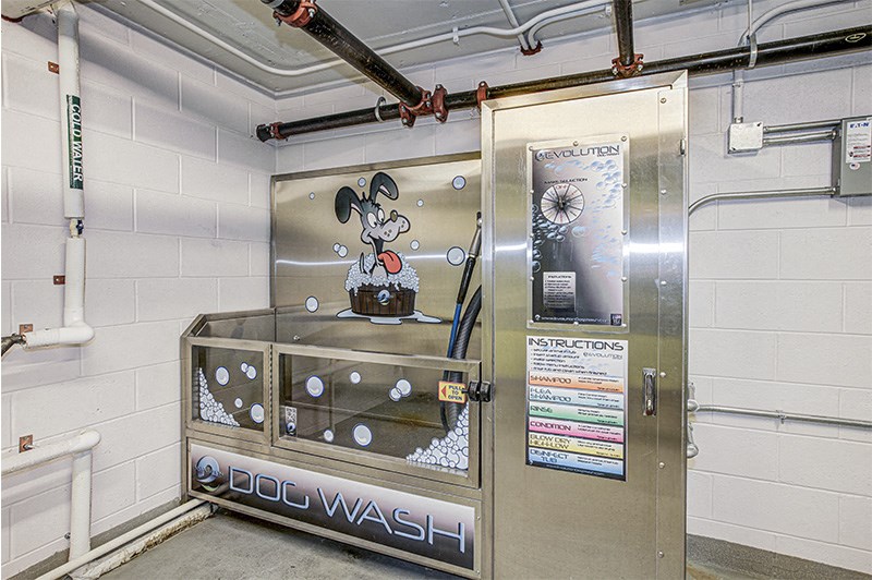 Dog Wash Area at The George, Wheaton, Maryland