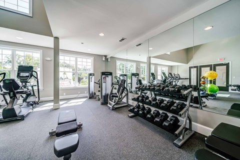 A spacious gym with a variety of equipment including treadmills, weight machines, and benches.