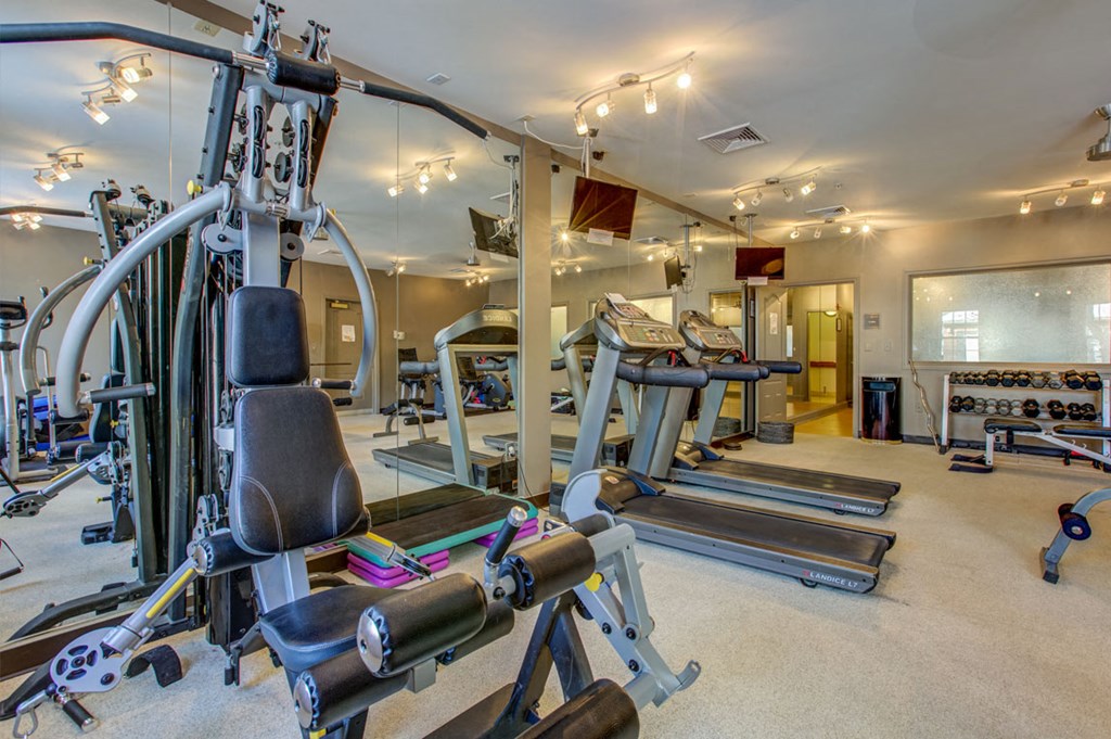 High Endurance Fitness Center at The Marque Apartments, Gainesville