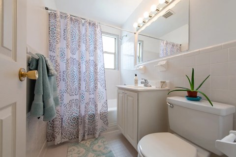 A white bathroom with a toilet, sink, and shower.