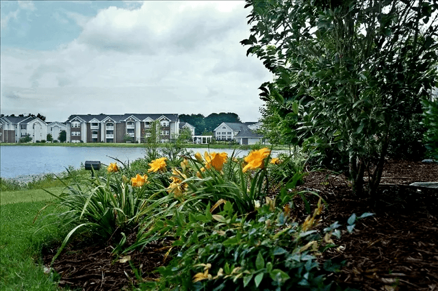 Lakeside Views at Village on the Lake Apartments, Spring Lake, North Carolina