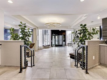 Bright Main Entrance Bright Main Entrance at The Mark