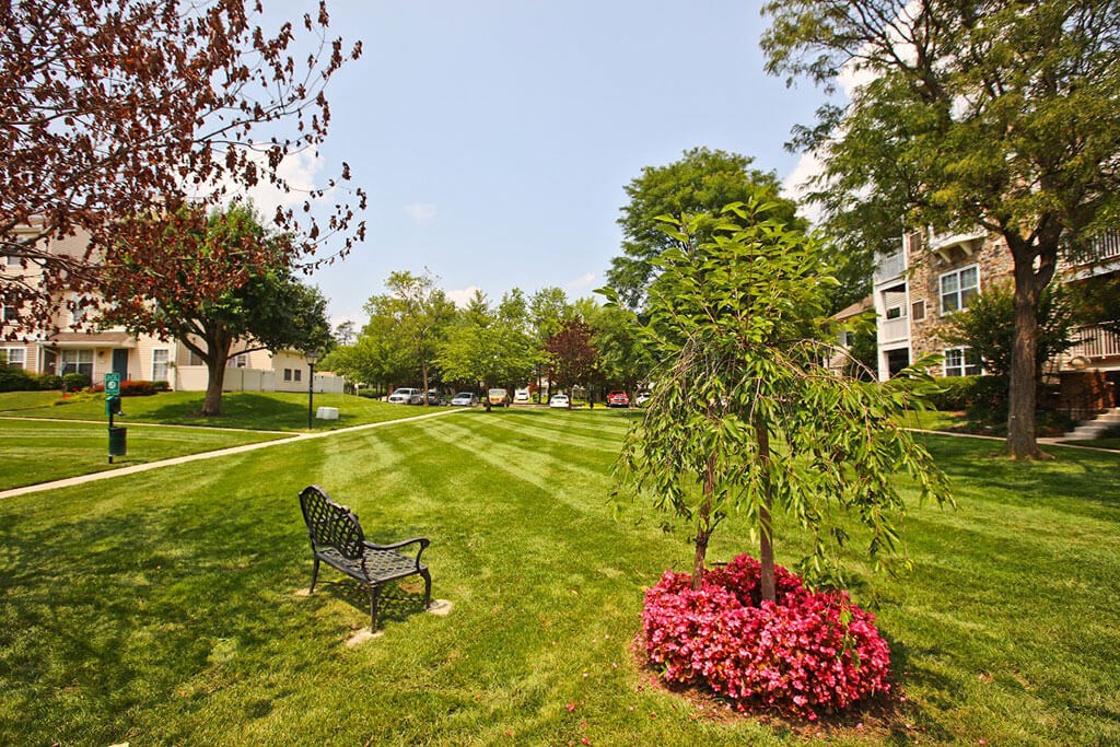 Courtyard Area at Saratoga Square, Springfield, Virginia