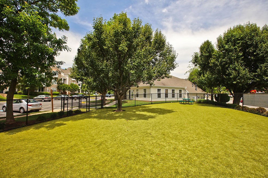 Dog Park Scene at Saratoga Square, Springfield, 22153