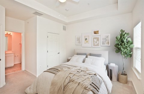 A bedroom with a large bed and a plant on the side table.