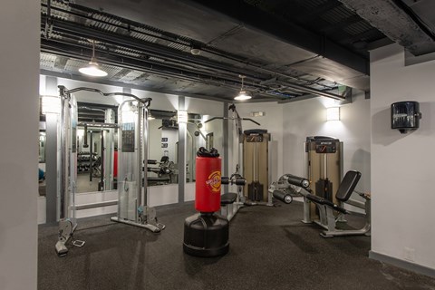 A gym with a variety of equipment including a squat rack, a bench, and a barbell.