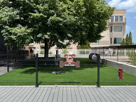 dog, park, bark park