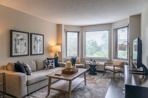 A living room with a couch, a coffee table, and a television.