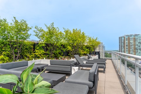 A rooftop patio with grey couches and green trees.