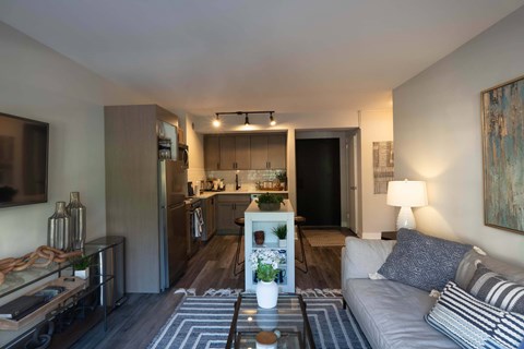 A modern living room with a grey couch and a coffee table in the center.