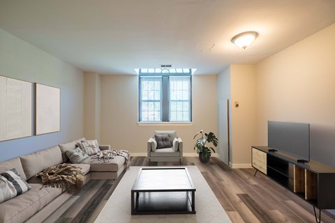 A living room with a grey couch, a coffee table, a television, and a potted plant.