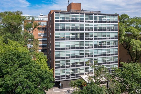 A tall building with a lot of windows is surrounded by trees.