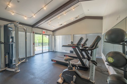 A gym with a treadmill, a weight machine, and a rowing machine.