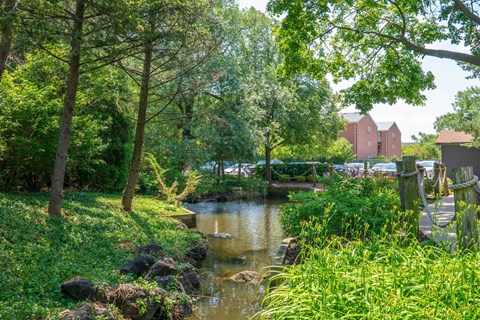 A serene landscape with a small river, rocks, and lush greenery.