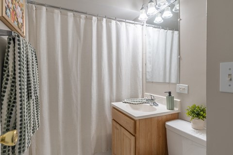 A bathroom with a white shower curtain, a wooden vanity, and a small potted plant.