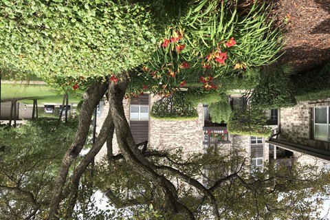 A tree with red flowers in the foreground and a building in the background.