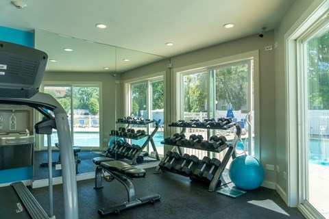 A gym with a treadmill, weights, and exercise balls.