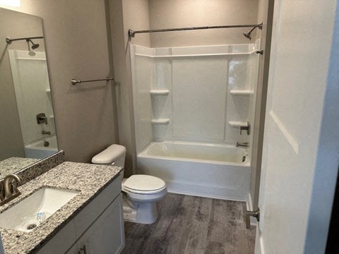 a bathroom with a shower toilet and a sink
