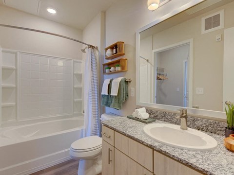 a bathroom with a sink and a toilet and a shower