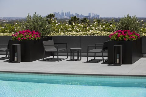 A pool with chairs and flowers in pots with a city in the background.