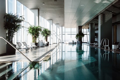 A large indoor swimming pool with lounge chairs and plants.