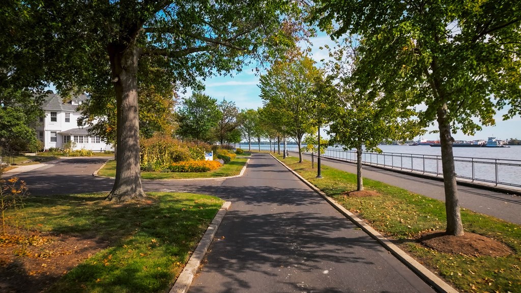 A tree-lined pathway runs parallel to a body of water.