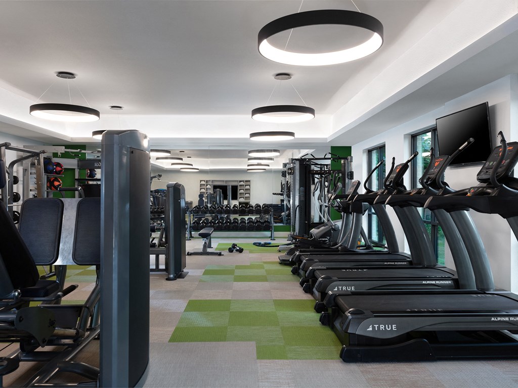 a room filled with lots of cardio equipment and weights