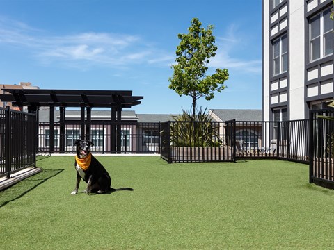 AVE Emeryville At Bay Street