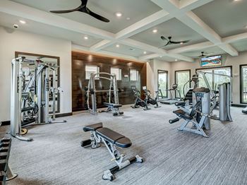 A spacious gym with a variety of equipment including a bench press, a squat rack, and a treadmill.