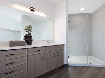 A bathroom with a large mirror, a potted plant, and a glass shower door.