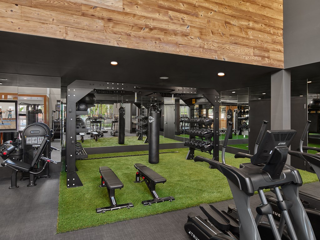 Fitness Center at AVE Tampa Riverwalk, Tampa, FL, 33602