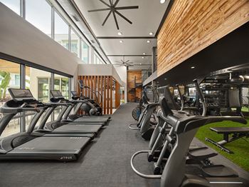 Fitness Center With Modern Equipment at AVE Tampa Riverwalk, Tampa, FL, 33602